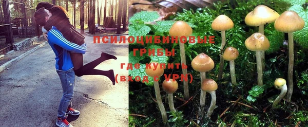 каннабис Гусев