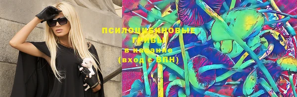 хмурый Гусиноозёрск