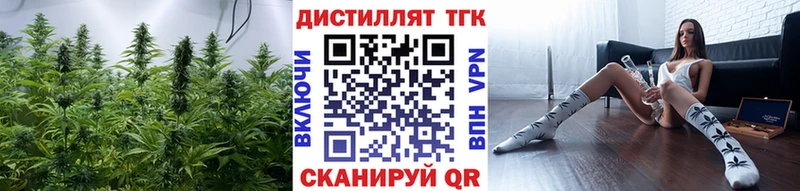 как найти наркотики Могоча Дистиллят ТГК жижа
