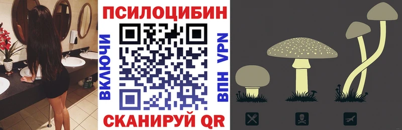 Галлюциногенные грибы прущие грибы  Могоча 